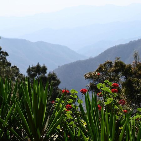 San Jose Del Pacifico- Cabanas Camino Al Cielo 3 ภายนอก รูปภาพ