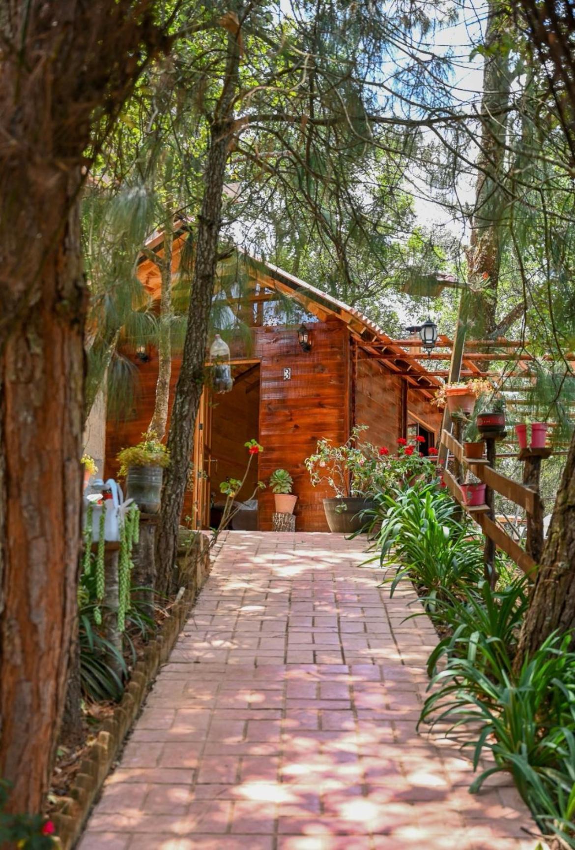 San Jose Del Pacifico- Cabanas Camino Al Cielo 3 ภายนอก รูปภาพ