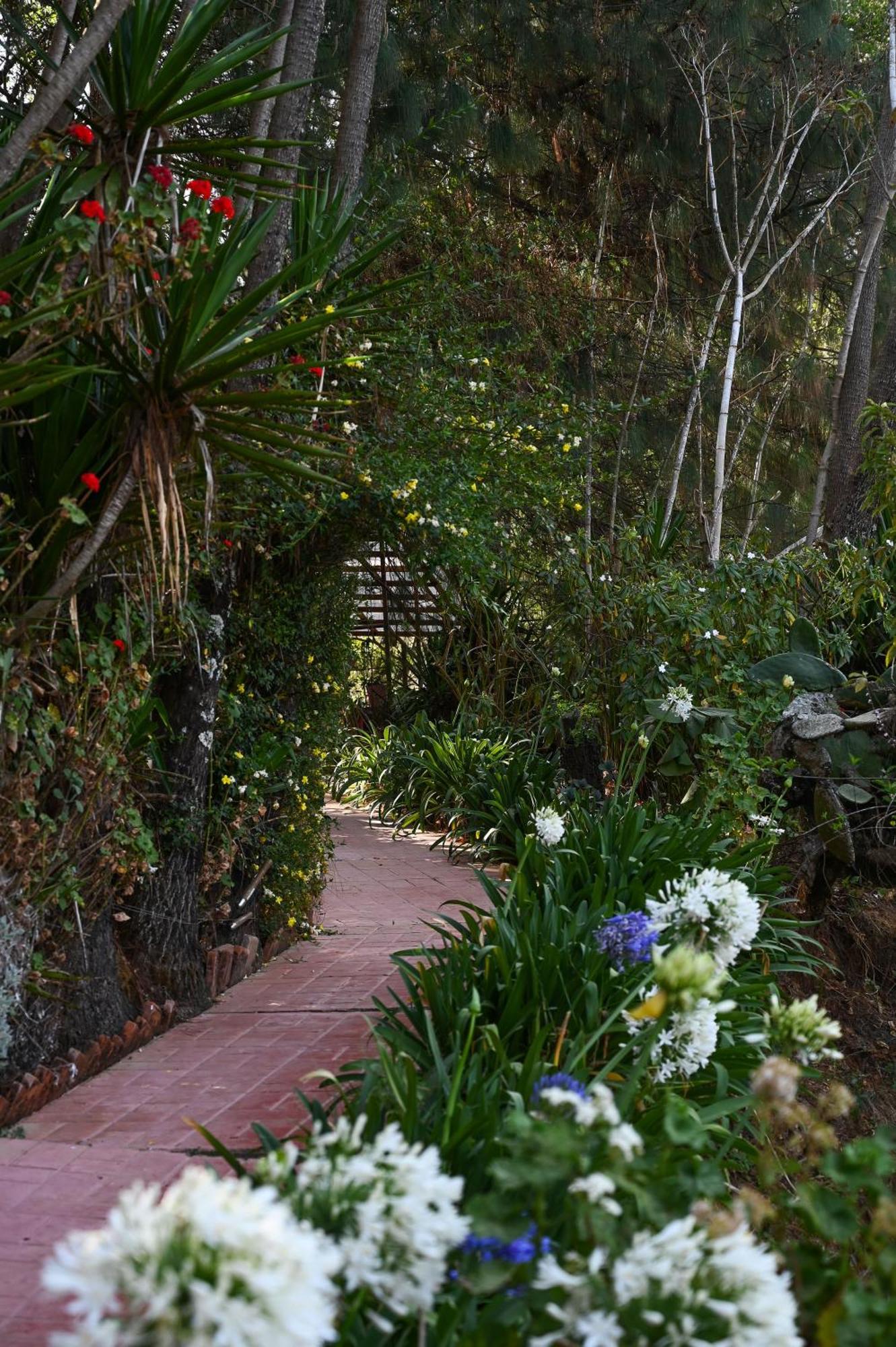 San Jose Del Pacifico- Cabanas Camino Al Cielo 3 ภายนอก รูปภาพ