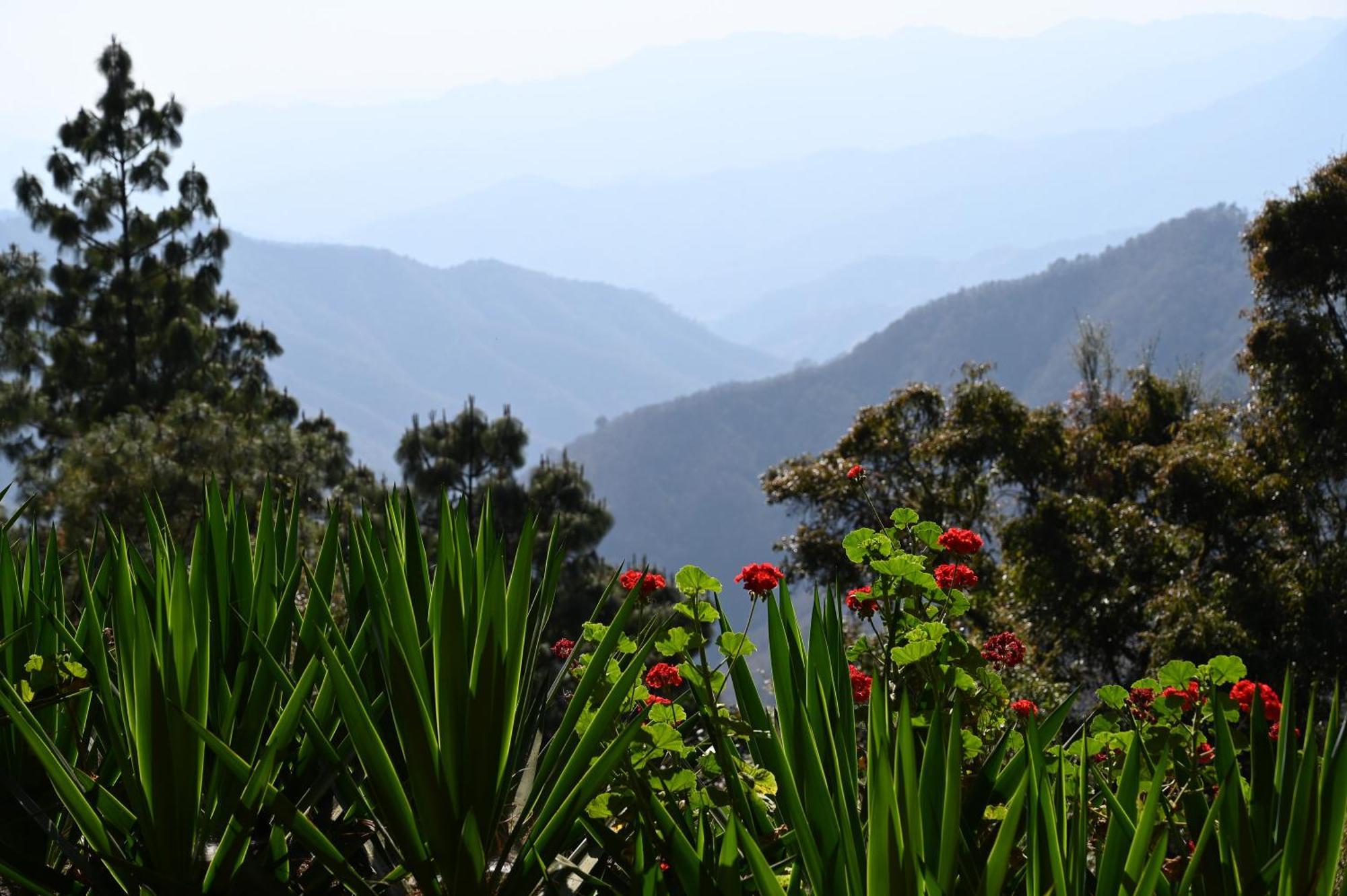 San Jose Del Pacifico- Cabanas Camino Al Cielo 3 ภายนอก รูปภาพ